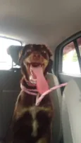 Meg