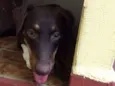 Meg
