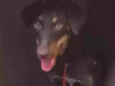 Meg