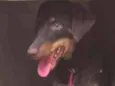 Meg