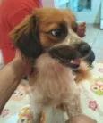 Melany 