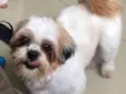 Julie e Ralph