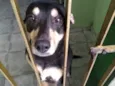 Lila