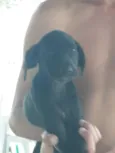 Nao dei nome