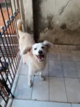 Branquinha