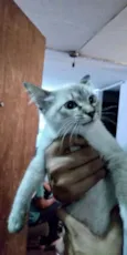 Luna Linda e fofa
