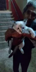 Luna Linda e fofa