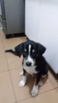Sem nome