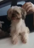 Marley