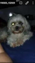 Marley