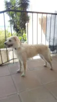 Rosie