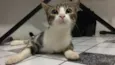 Zoe
