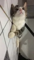Zoe