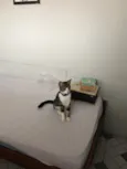 Zoe