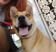 Sam