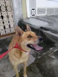 Sam