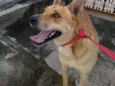Sam