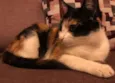 Lola