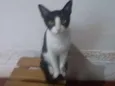 Bella