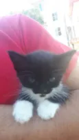 MARIE E PANDORA
