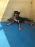 Menino