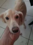 Benício