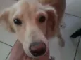 Benício