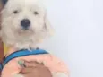 Lucky