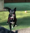 Spike