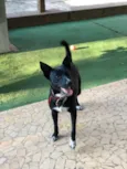 Spike