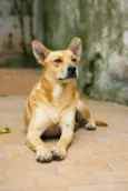 Sam