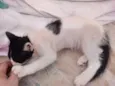 Nina
