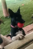 Spike