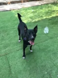 Spike