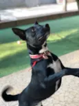 Spike