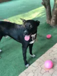 Spike
