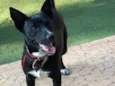 Spike