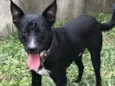Spike