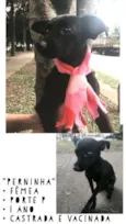 MAEZINHA/PERNINHA