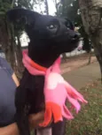 MAEZINHA/PERNINHA