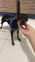 Luigi 