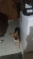 Tom