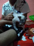 Mel