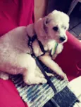 Billy