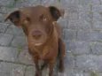 Princesa