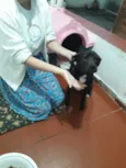 Pretinha