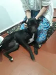 Pretinha