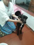 Pretinha