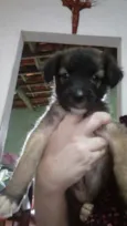 Sem nome
