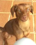 Mel